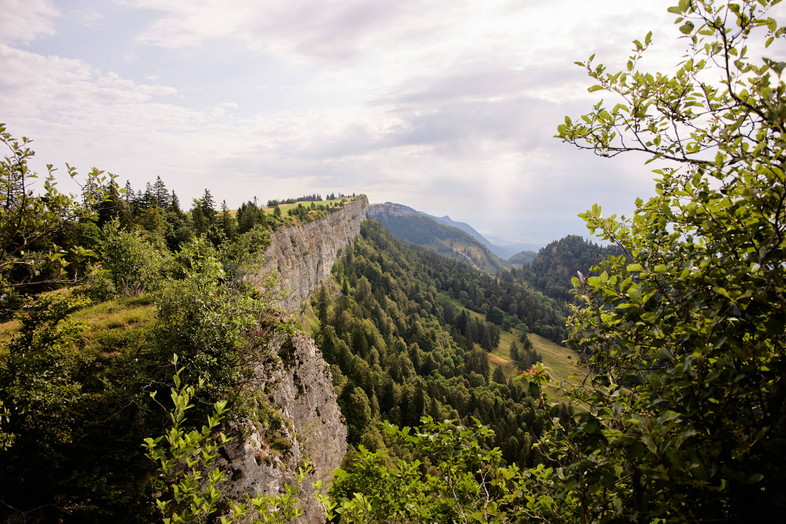 Unser Grenchner Wald ist für mich eine wahre Oase zum Abschalten.